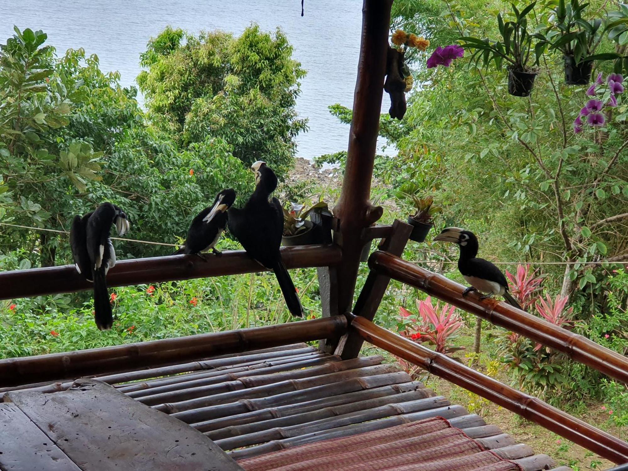 Littleduck Bungalow Koh Chang Ranong Exterior foto