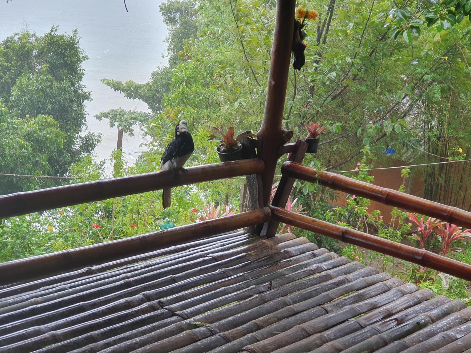Littleduck Bungalow Koh Chang Ranong Exterior foto
