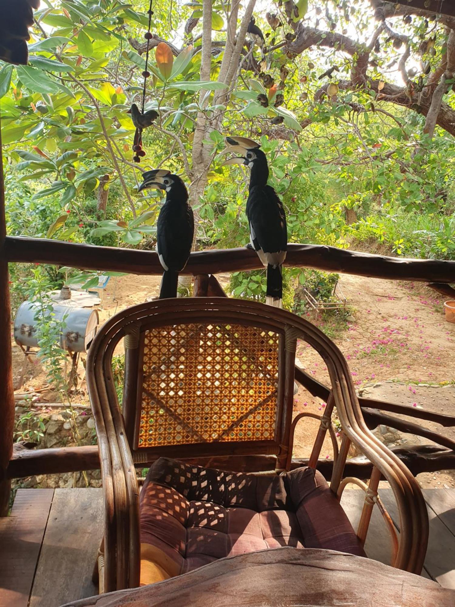 Littleduck Bungalow Koh Chang Ranong Quarto foto
