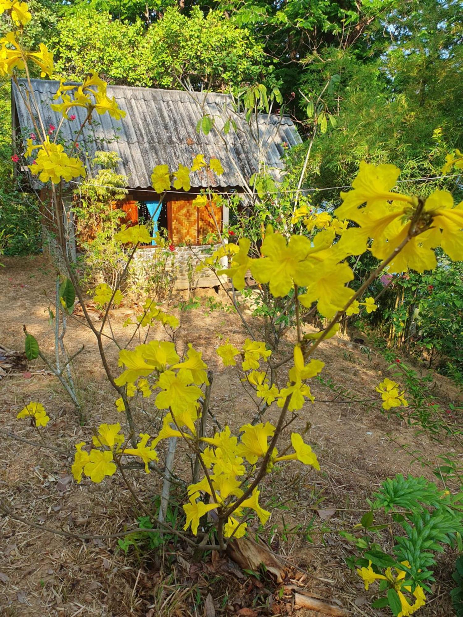 Littleduck Bungalow Koh Chang Ranong Quarto foto