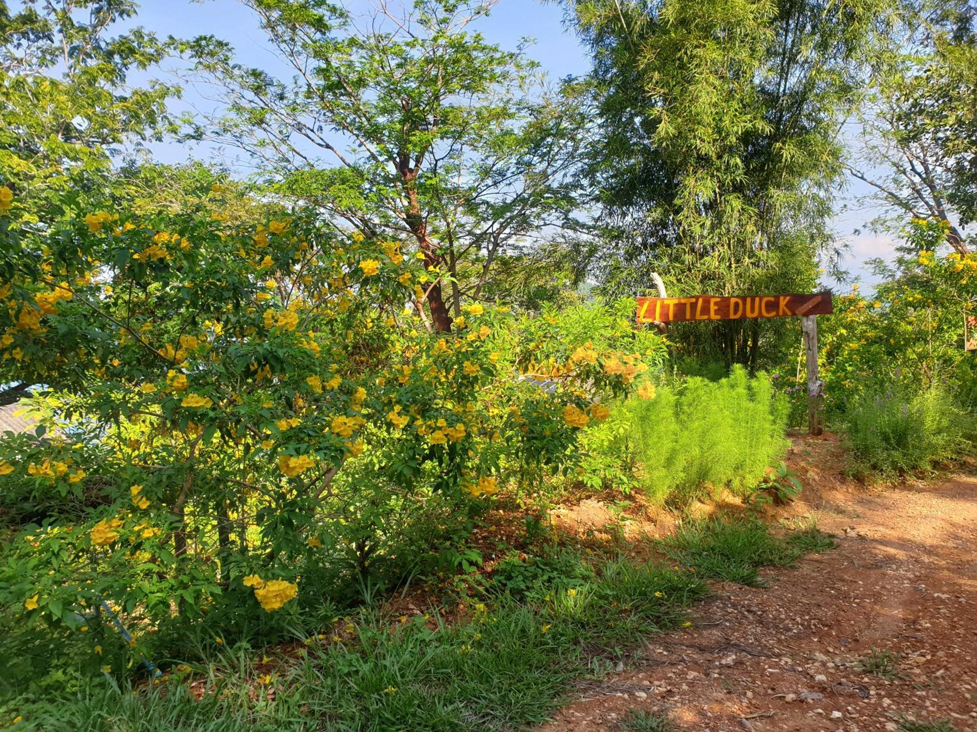 Littleduck Bungalow Koh Chang Ranong Exterior foto